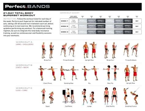 Chest Expander Workout Routine Pdf | EOUA Blog