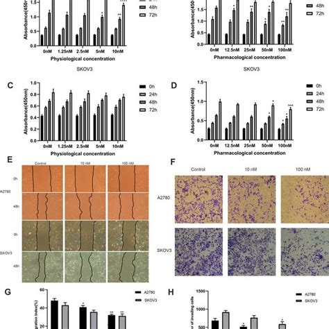 The Effects Of Mir B P Overexpression On The Growth Of Mg And