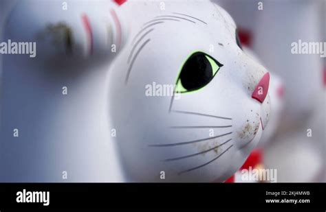 Japan Waving Cat Stock Videos And Footage Hd And 4k Video Clips Alamy