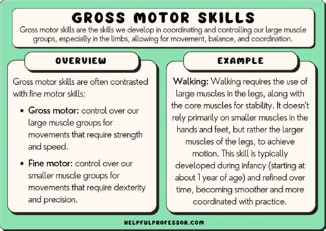 Examples of Gross Motor Skills in Child Development