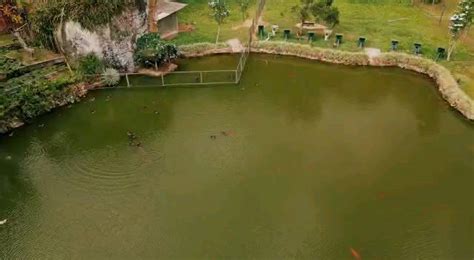 Sitio Colirio - Sítio Colírio (@sitiocolirio) • Instagram photos and videos