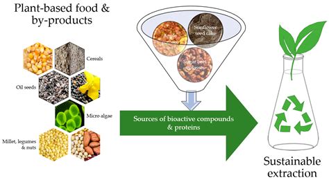 Sustainable Isolation of Bioactive Compounds and Proteins from Plant