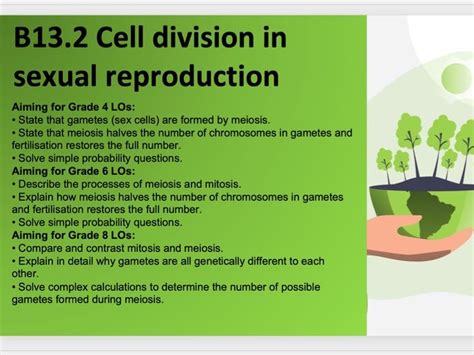 B132 Cell Division In Sexual Reproduction Teaching Resources