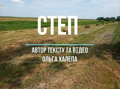 СТЕП - YouTube
