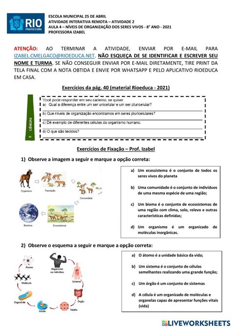 ATIVIDADE 4 - NÍVEIS DE ORGANIZAÇÃO DOS SERES VIVOS - 8°ANO online ...