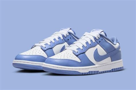 Nike Dunk Low Polar Blue Dv Nice Kicks