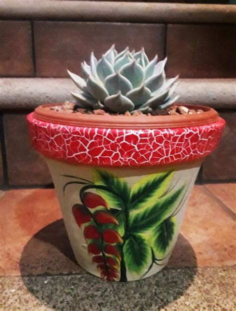 A Potted Plant Sitting On Top Of A Counter