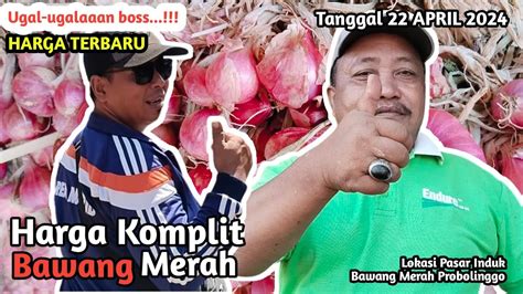 Ugal Ugalan Boss Harga Bawang Merah Hari Ini Tgl Di