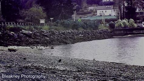 Fox Island Beach. Fox Island, Washington State | Island beach, Beach ...