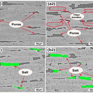 Sem Morphology Of Sic F Sic Composite Cross Sectional Images Of A