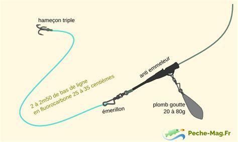 Technique et montage La pêche du sandre au vif mort posé Peche du