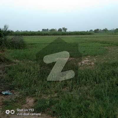 Agriculture Land For Sale Urgent Chak Nb Chak Nb Sargodha