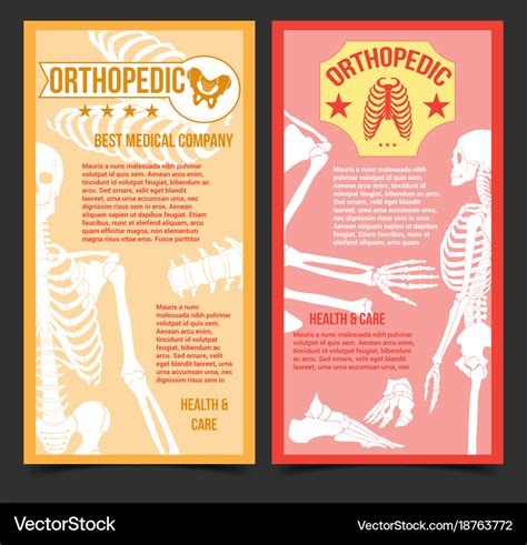 Medical Orthopedic Posters With Human Bones Vector Image