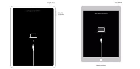 5 Super Easy Ways To Fix IPad Stuck At Apple Logo