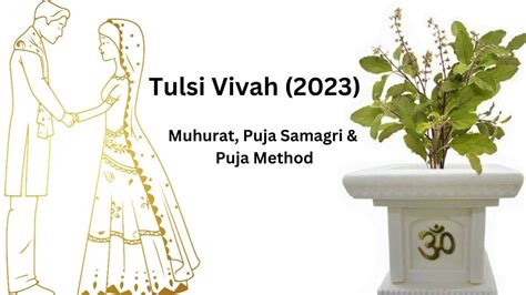 Tulsi Vivah 2023 Tulsi Vivah Pujan Vidhi Get Shaligram And Tulsi