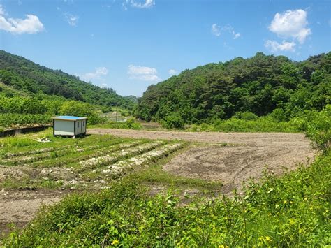 골프장에 접한 농막인허가된 반값 농막주말농장용 관리지역토지 입니다 바로 농막 놓으시면 됩니다 골프장에서의 한적한 강원특별