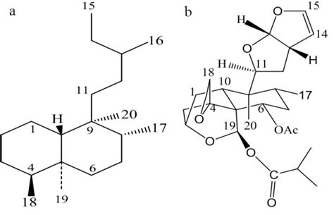 Diterpenoids With Neo Clerodane Skeleton A Base Structure Of