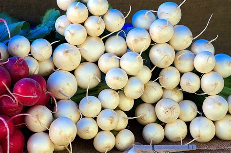 Harvest White Radishes Radish Free Photo On Pixabay Pixabay