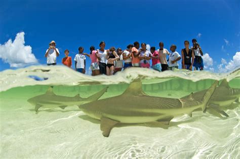 Aldabra Atoll ~ View World Beauty