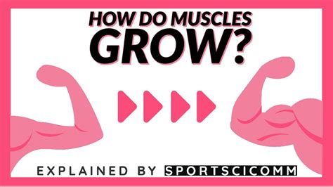 How Muscles Grow Youtube