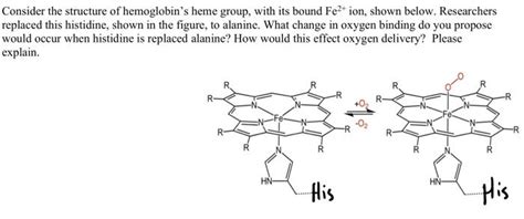 Solved Consider The Structure Of Hemoglobin S Heme Group