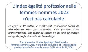 INDEX EGALITÉ PROFESSIONNELLE FEMMES HOMMES pour l ANNÉE 2022 Adelis