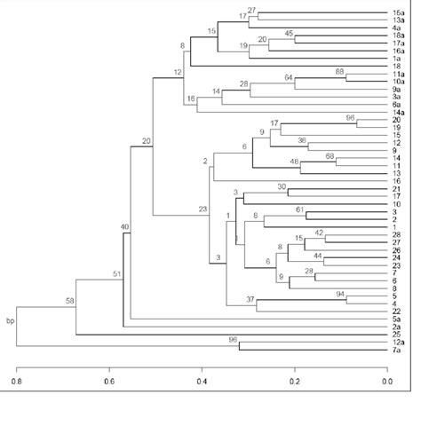 Dendrogram Of Average Linkage Cluster Analysis Based On Random