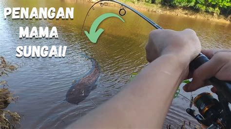 Memancing Ikan Di Sungai Air Tawar Youtube