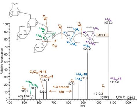 Negative Ion Collisioninduced Dissociation Cid Spectrum Of The