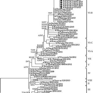 Phylogenetic Analysis Of The Hemagglutinin HA Gene Of 2015