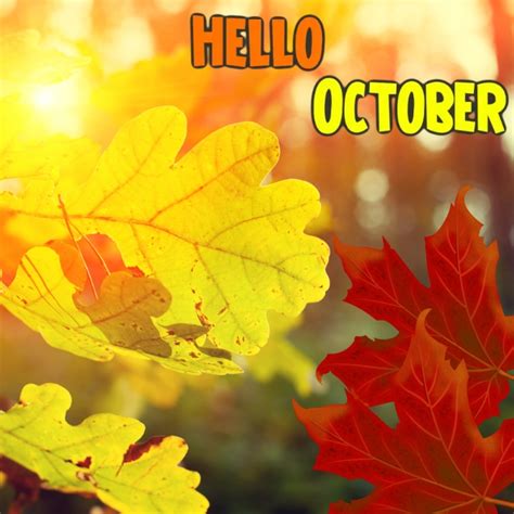 hello october instagram post Template | PosterMyWall