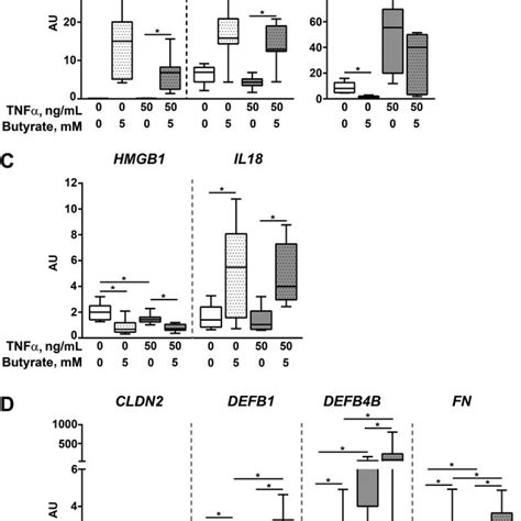 Mrna Expression Levels Of Selected Butyrate And Tnfα Response Genes