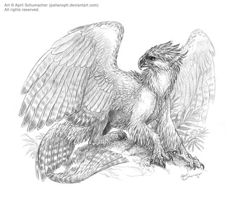 Philippine Gryphon By Pallanoph On Deviantart