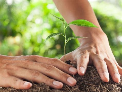 Hoy celebran día mundial del suelo y la tierra fértil