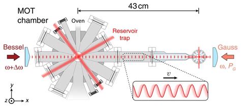 Caesium Quantum Gas Microscope