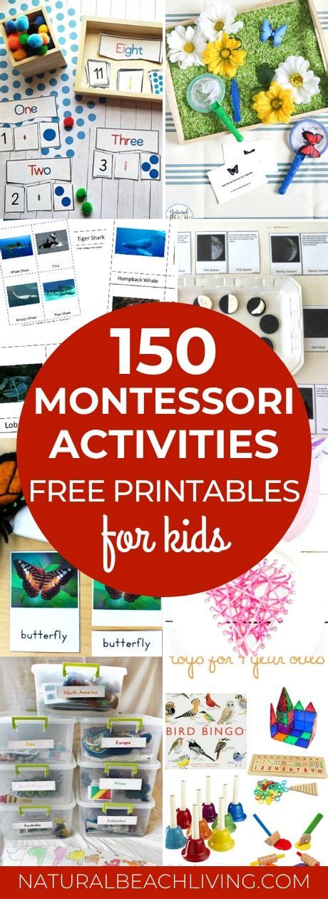 Amazing Montessori Activities And Free Printables Natural Beach