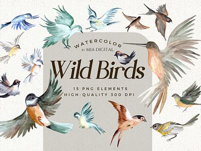 Watercolor Bird Clipart designs, themes, templates and downloadable ...