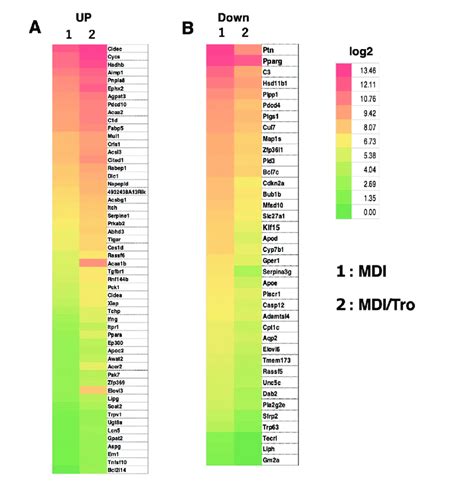 Microarray Analysis Heat Map Download Scientific Diagram