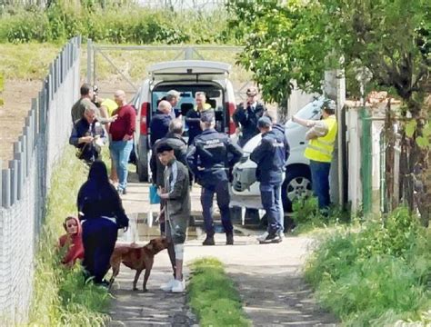 Bimbo Di 15 Mesi Azzannato E Ucciso Da Due Pitbull A Campolongo Di