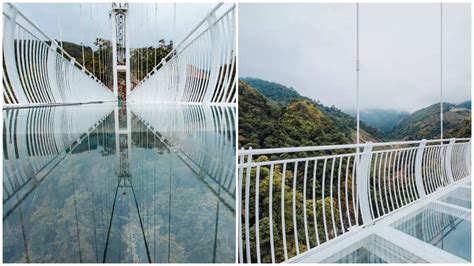 Vietnam Opens World S Longest Glass Bottomed Bach Long Bridge In Son La Province See Pics