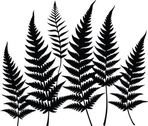 Premium Vector Fern Black Silhouette Art Illustration Fern Leaf