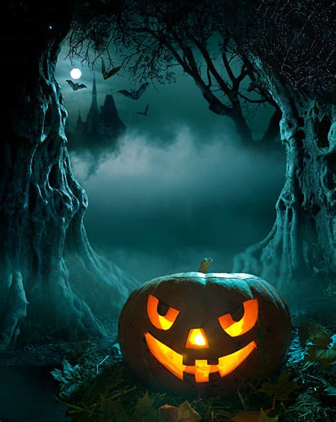 Halloween Pictures Images And Stock Photos Istock