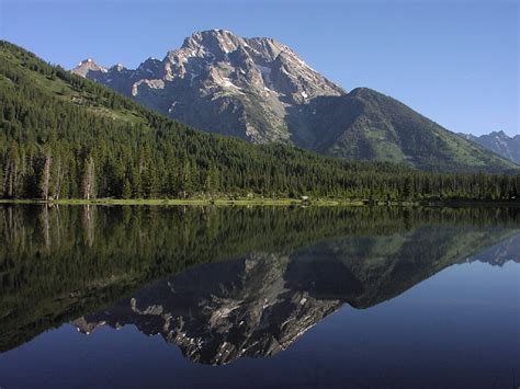 Royalty-Free photo: Reflecting trees and mountain | PickPik