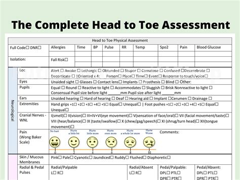 Head To Toe Assessment Checklist Head To Toe Assessment Head Etsy Canada