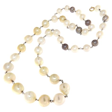 South Sea Pearls Karat Yellow Gold Necklace For Sale At Stdibs