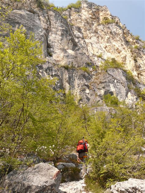 Free Images Tree Path Walking Mountain Trail Sidewalk Adventure