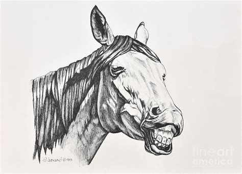 Smile Drawing By Suzanne Leonard Fine Art America