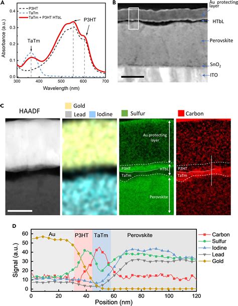 Efficient Stable And Fully Printed Carbon Electrode Perovskite Solar