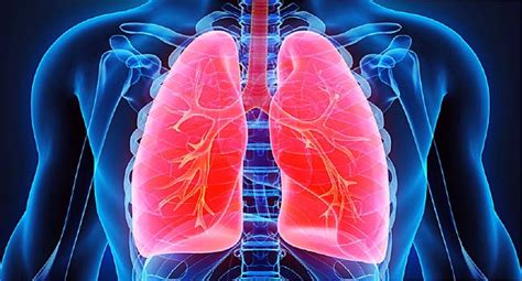 Common Things In Your Home That Can Damage Your Lungs