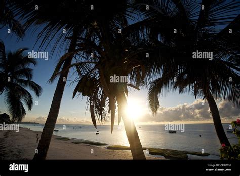 Kenya mombasa beach hi-res stock photography and images - Alamy